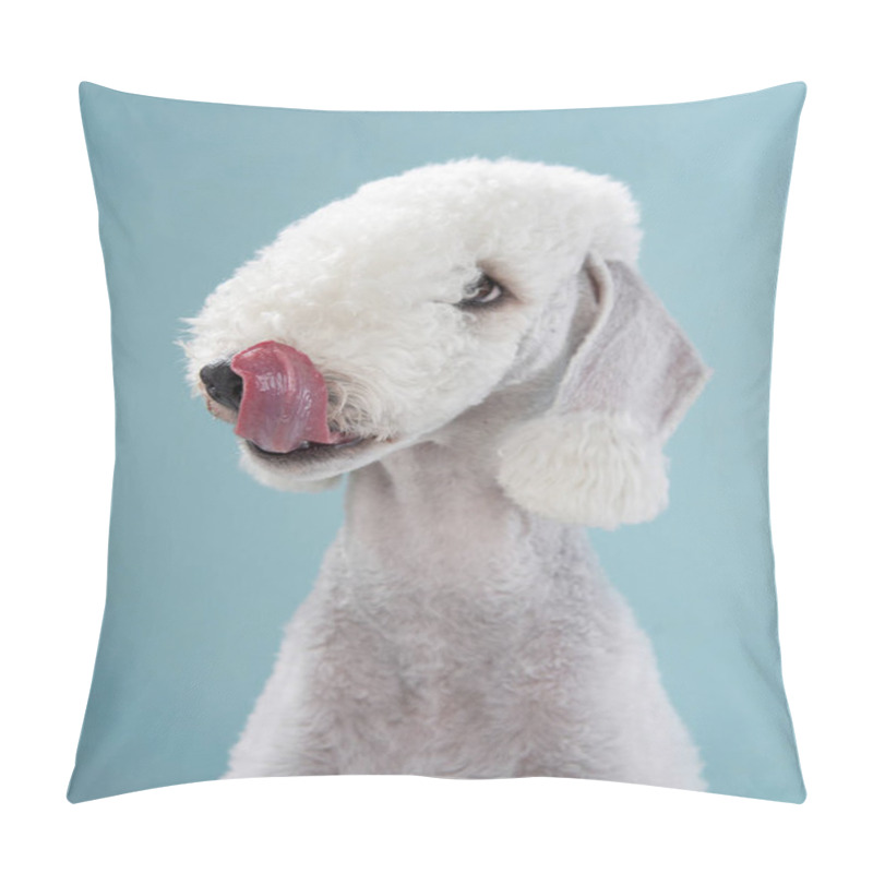 Personality  White Bedlington. Close-up Portrait Of A Dog. Charming Pet Pillow Covers