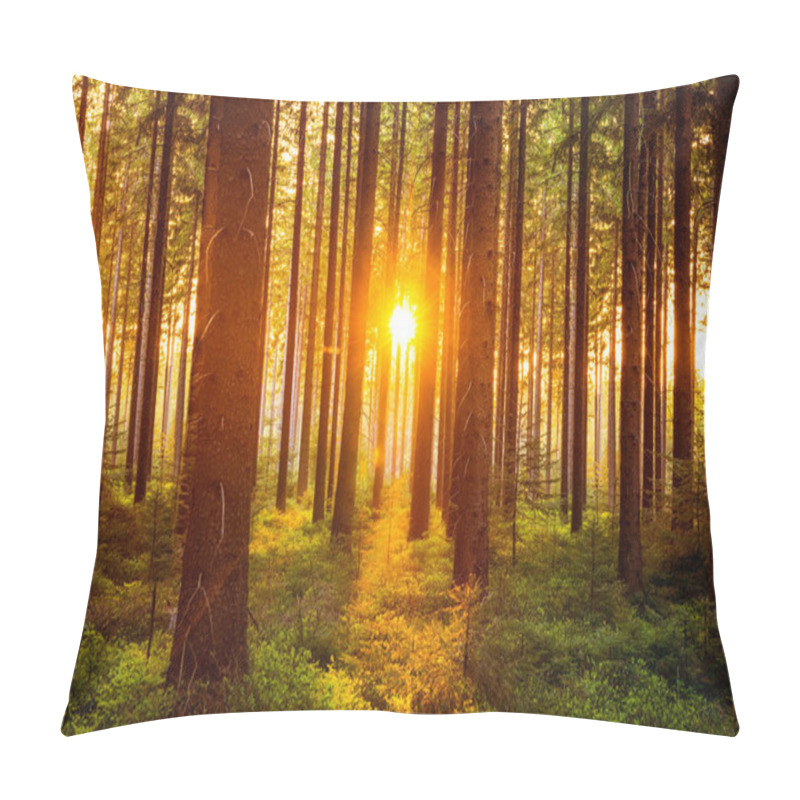 Personality  Silent Forest In Spring With Sun Rays Pillow Covers