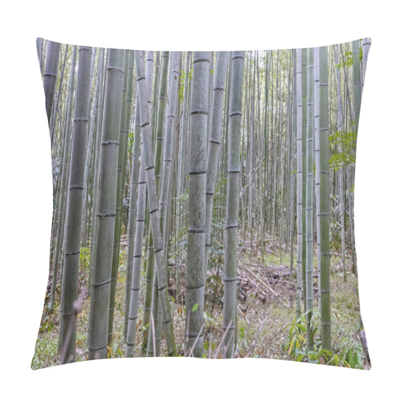 Personality  Close Up Of Bamboo Tree Trunks In The Bamboo Forest In Arashiyama, Japan On 28 September 2024 Pillow Covers