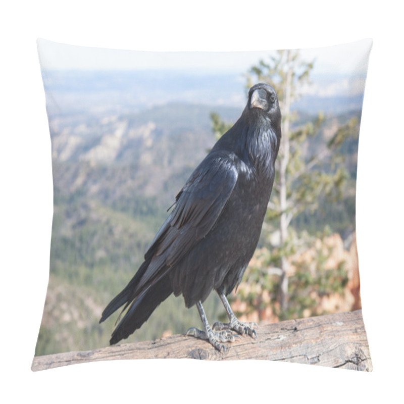 Personality  The Raven Of Ponderosa Point Pillow Covers