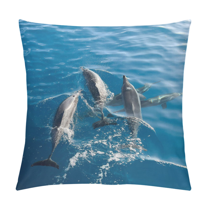 Personality  A Small Pod Of Spinner Dolphins Come Up For Air While Swimming I Pillow Covers