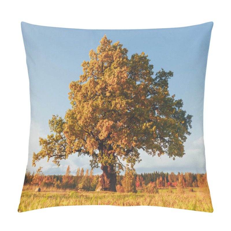 Personality  Oak Tree With Yellow Foliage At Sunny Autumn Day Pillow Covers