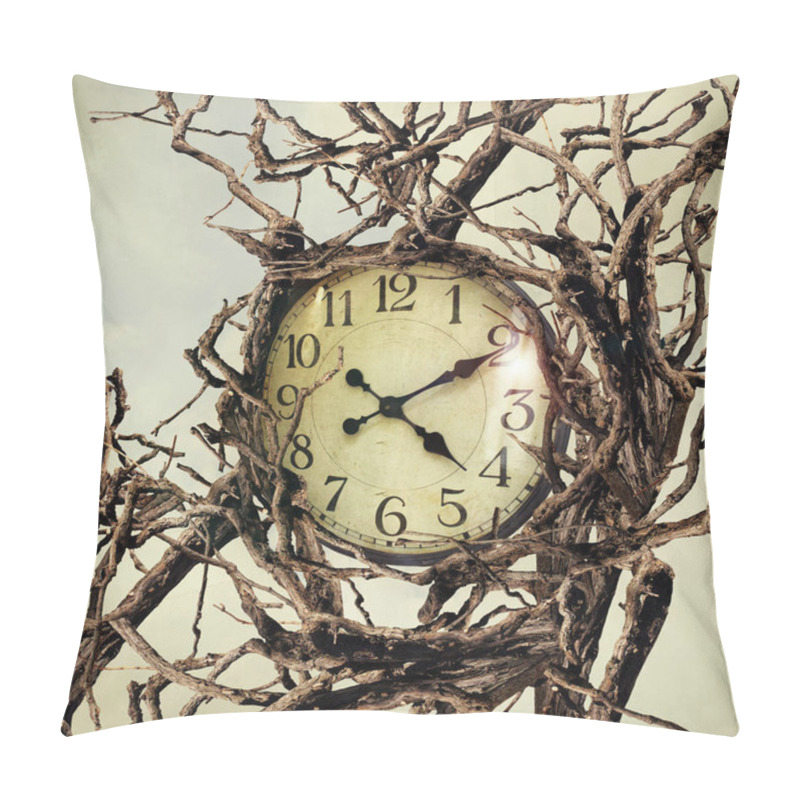 Personality  Nature And Time Pillow Covers