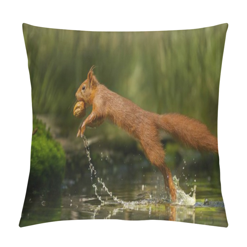 Personality  A Selective Focus Shot Of A Red Squirrel Running On The Water With A Nut Pillow Covers