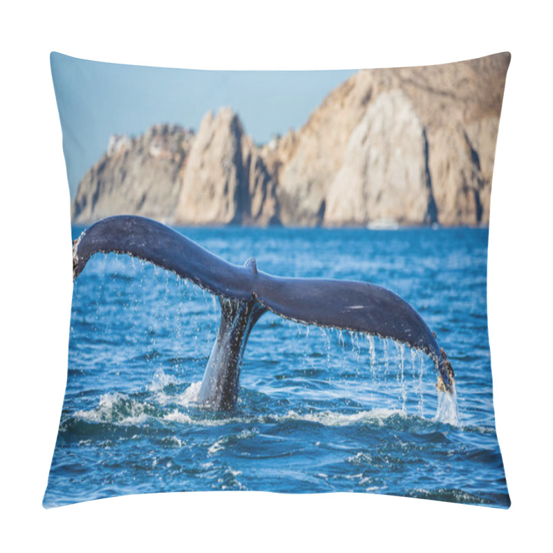 Personality  Tail Of Humpback Whale Pillow Covers