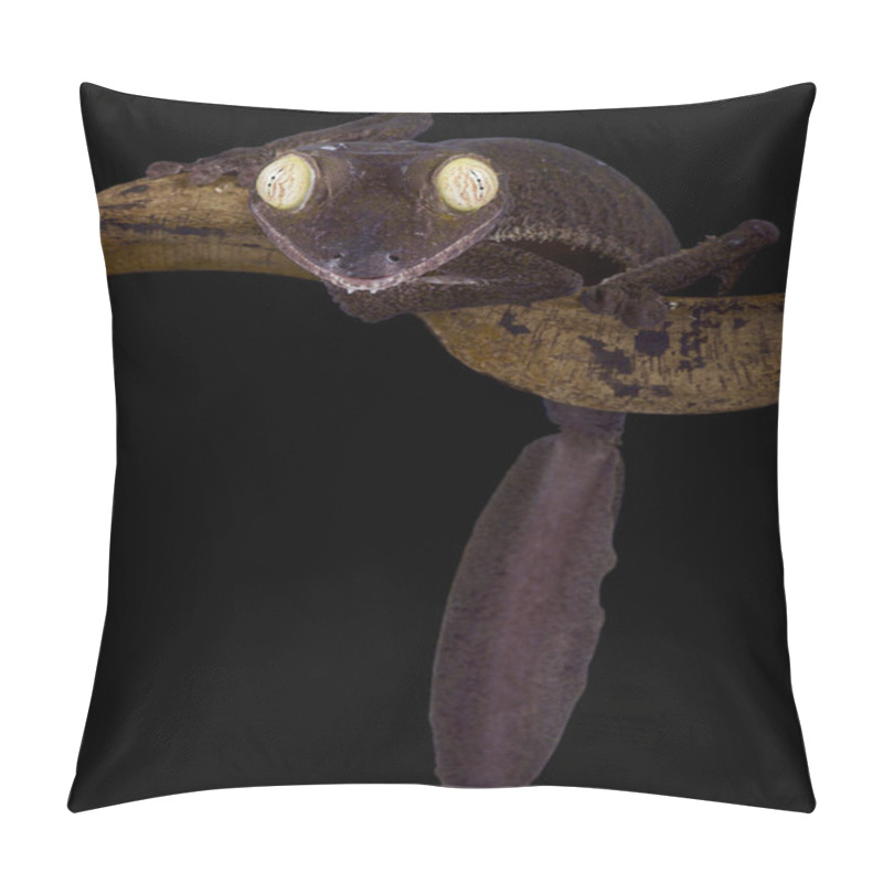 Personality  The Giant Leaf-tailed Gecko (Uroplatus Giganteus) Is The Second Largest Gecko Species In The World. They Are Endemic To The Extreme North Of Madagascar. Pillow Covers