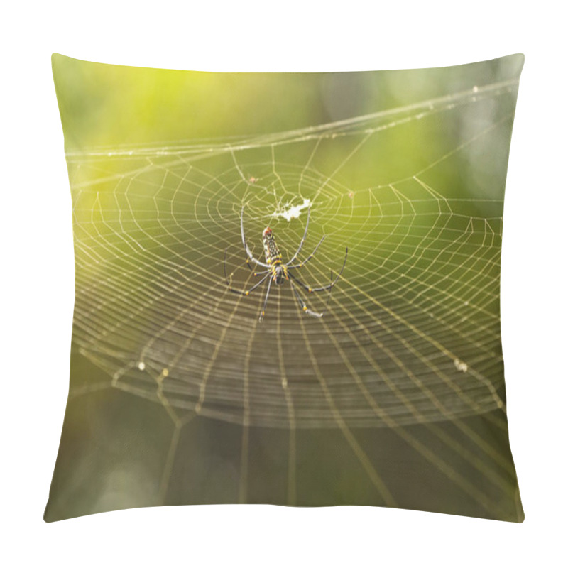 Personality  Female Golden Web Spider Nephila Pilipes Pillow Covers