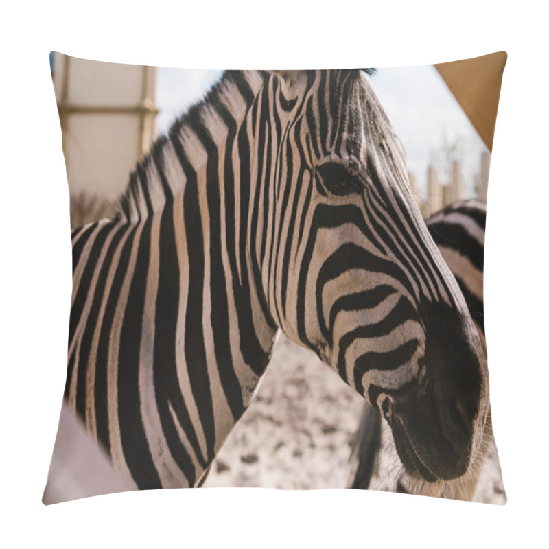 Personality  Side View Of Zebra Standing In Corral At Zoo  Pillow Covers