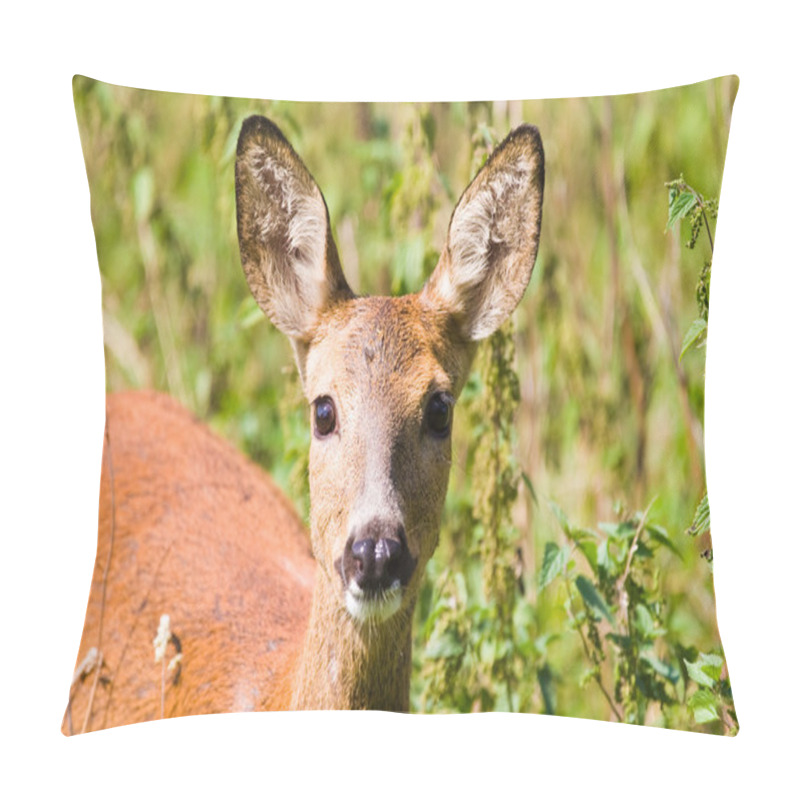 Personality  Roe Pillow Covers