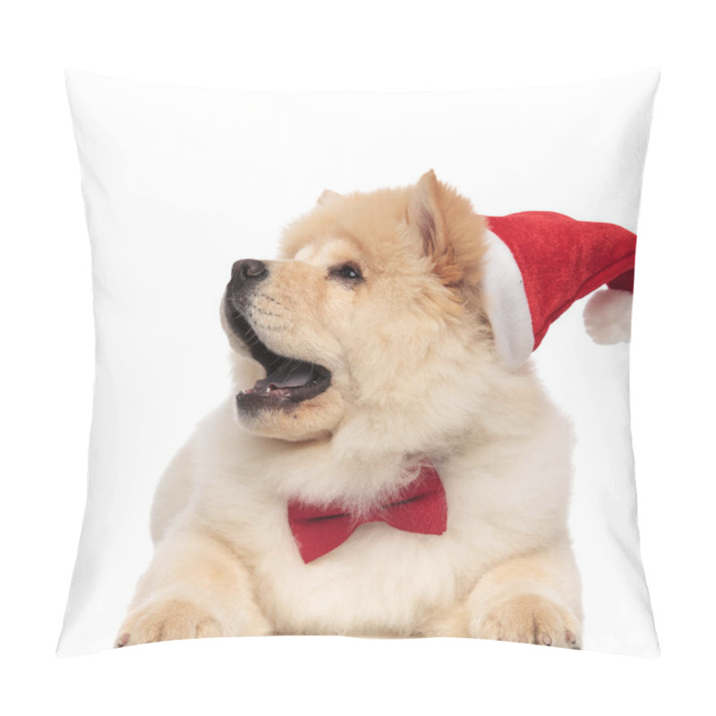 Personality  Surprised Chow Chow Wearing Santa Hat Looks Up To Side While Lying With Mouth Open On White Background Pillow Covers