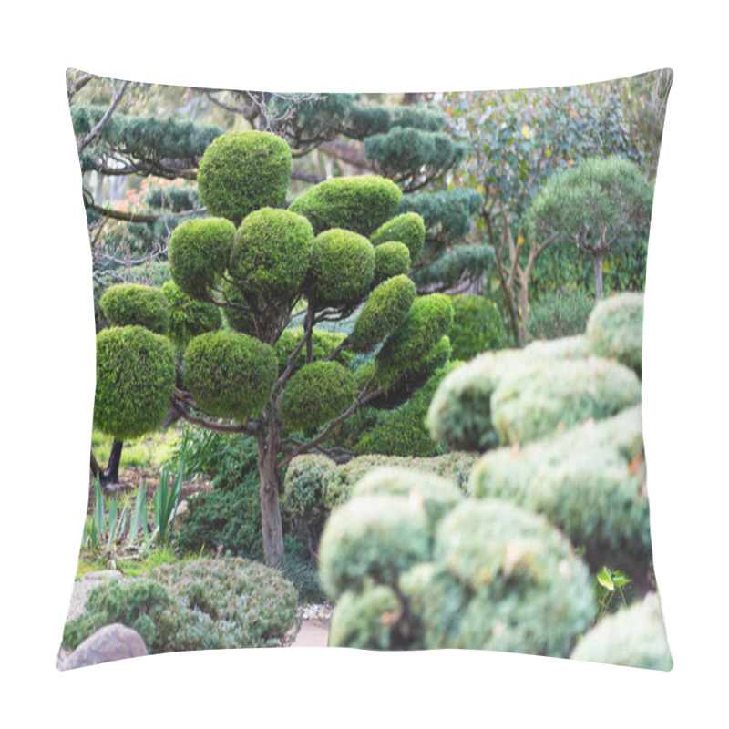 Personality  Japanese Landscape - Takedera - Hokokuji - Kamakura - Kanagawa. High Quality Photo Pillow Covers