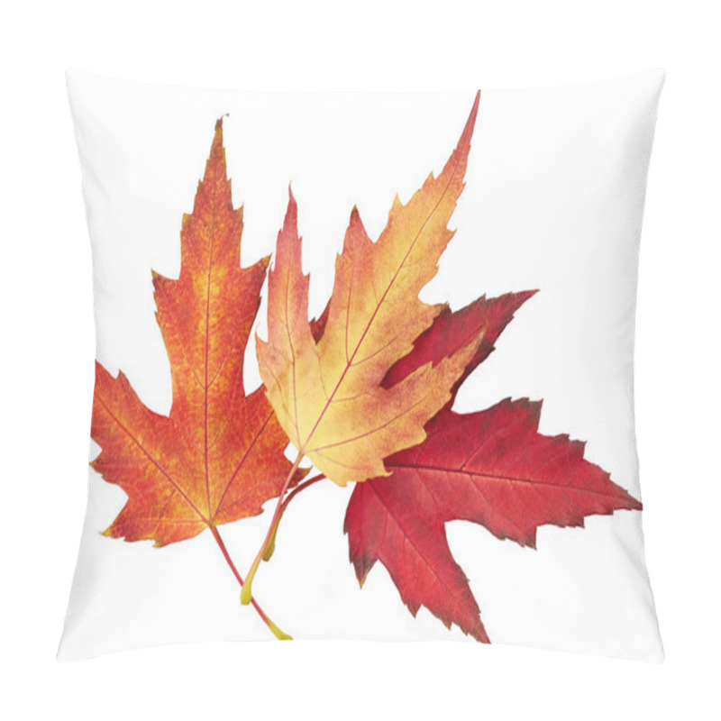 Personality  Maple Autumn Leaves Pillow Covers