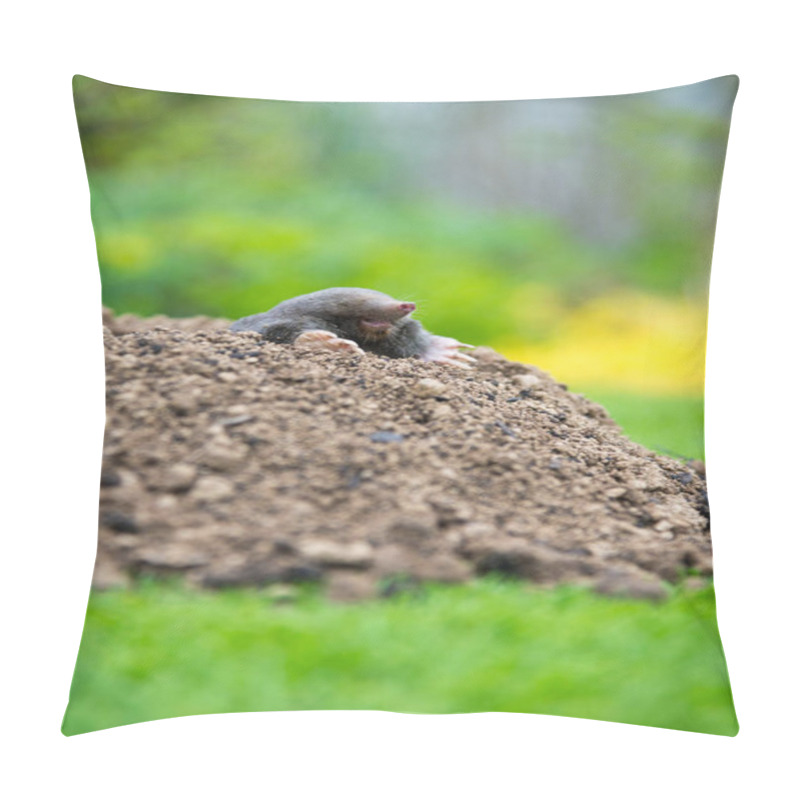 Personality  European Mole Crawling Out Of Molehill Above Ground, Showing Strong Front Feet Used For Digging Underground Tunnels Pillow Covers