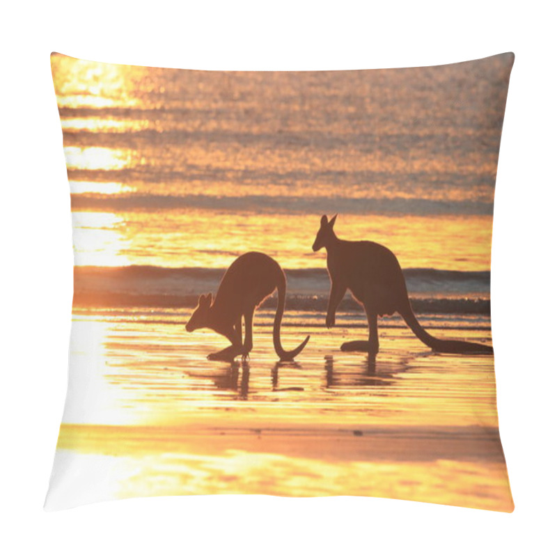 Personality  Kangaroo On Beach At Sunrise, Mackay, North Queensland, Australi Pillow Covers