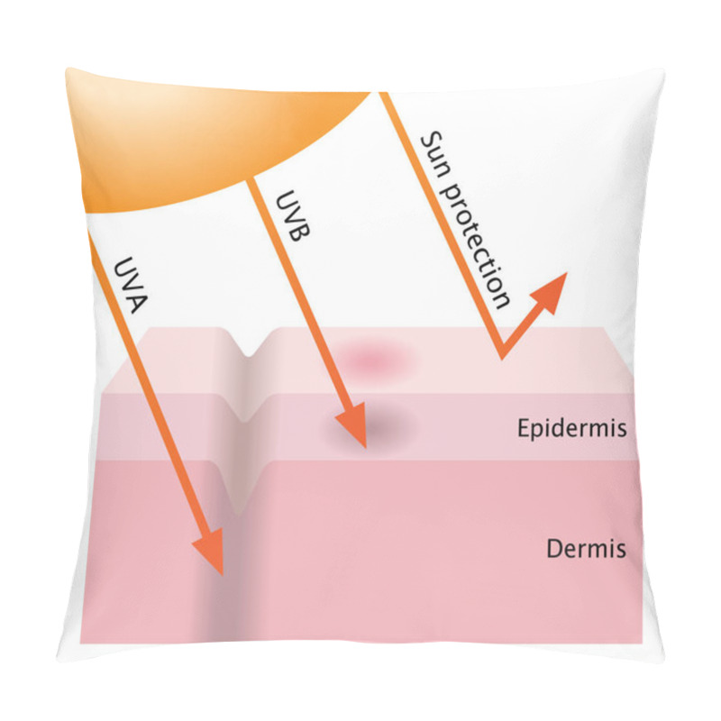 Personality  Infographic Skin Illustration. UVA And UVB Penetration Into The Human Skin. Sunscreen Protect The Skin From Radiation. Pillow Covers