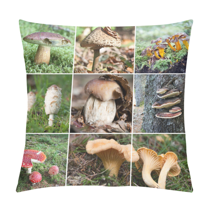 Personality  Mushroom Collage Pillow Covers