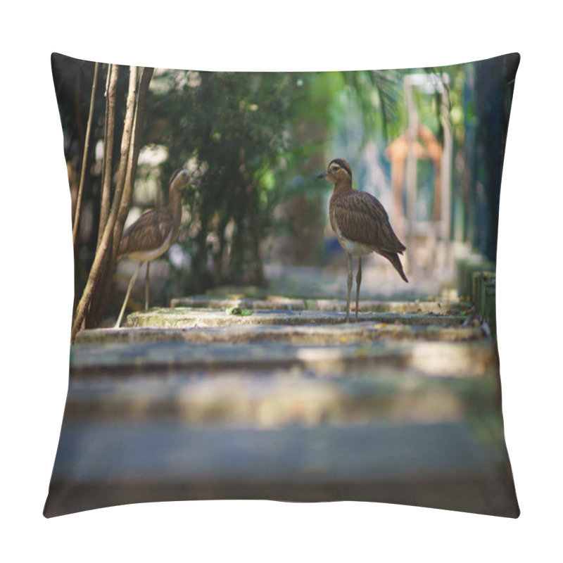 Personality  Stone Curlew, Burhinus Oedicnemus, Two Bird In Beautiful Background Pillow Covers