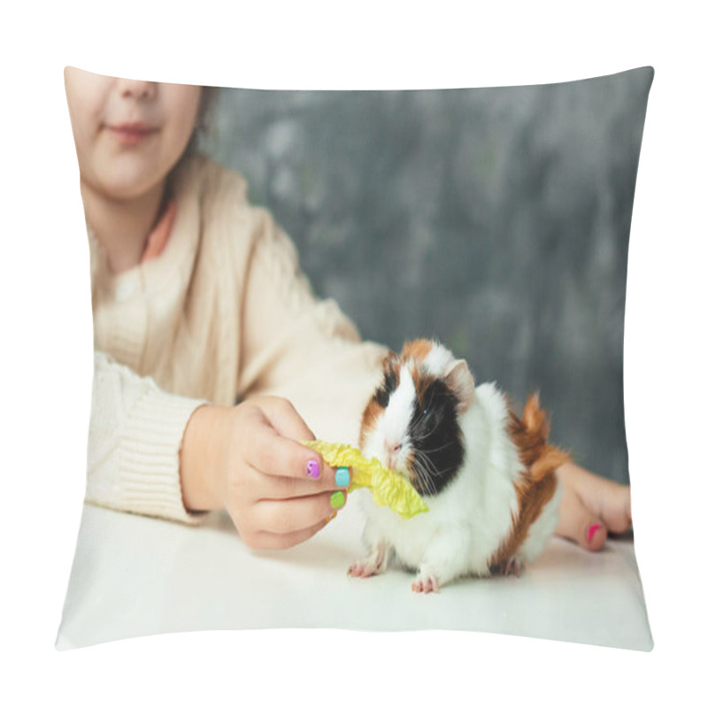 Personality  Cute Little Girl Of Kindergarten Age Feed By Hand White-orange-black Guinea Pig Sitting On Table. Furry Cavy Eat Lettuce. Child Play With Small Animal Friend. Look After Pets. Love Animals. Pillow Covers