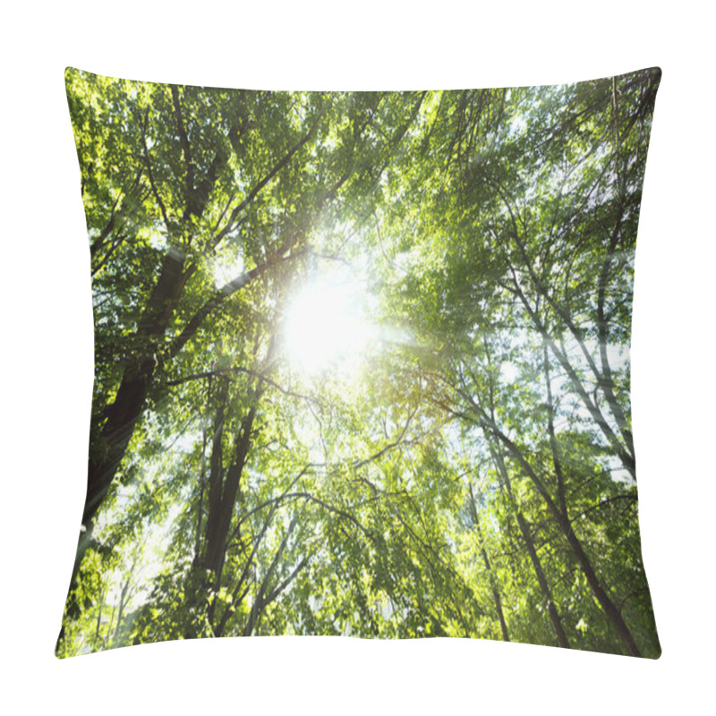 Personality  Sun Light Beams Through Tree Branches Pillow Covers