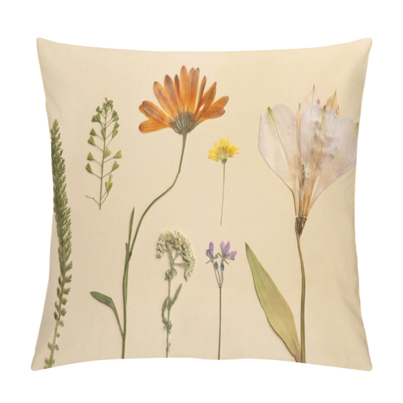 Personality  Pressed Dried Flowers And Plants On Beige Background. Beautiful Herbarium Pillow Covers