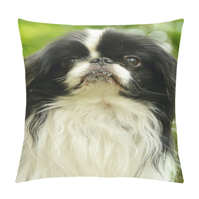 Personality  Cute Japanese Spaniel Pillow Covers