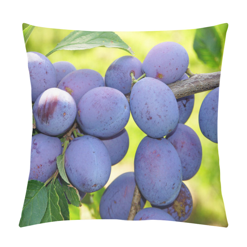 Personality  Harvest Time, Autumn Background  Pillow Covers