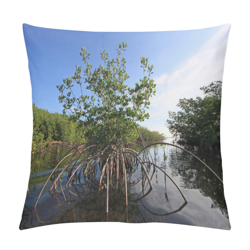 Personality  Mangrove Trees In Shallow Water In Card Sound, Florida. Pillow Covers