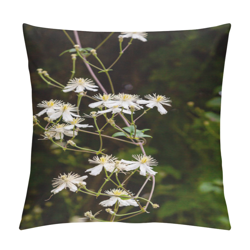 Personality  White Flower Of Clematis Recta In Garden Pillow Covers