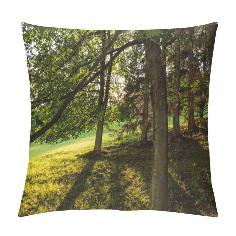 Personality  Autumn Landscape With Autumn Trees In The Park. Autumn Nature -yellowed Autumn Park In Autumn Sunny Weather. Picturesque Autumn View Of Autumn Park. Soft Focus Applied. Autumn Nature In Sunlight Pillow Covers