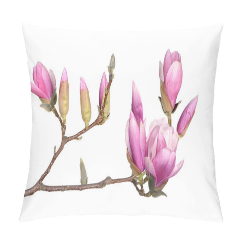 Personality  Branch Of Pink Magnolia Flowers Isolated On White Background  Pillow Covers