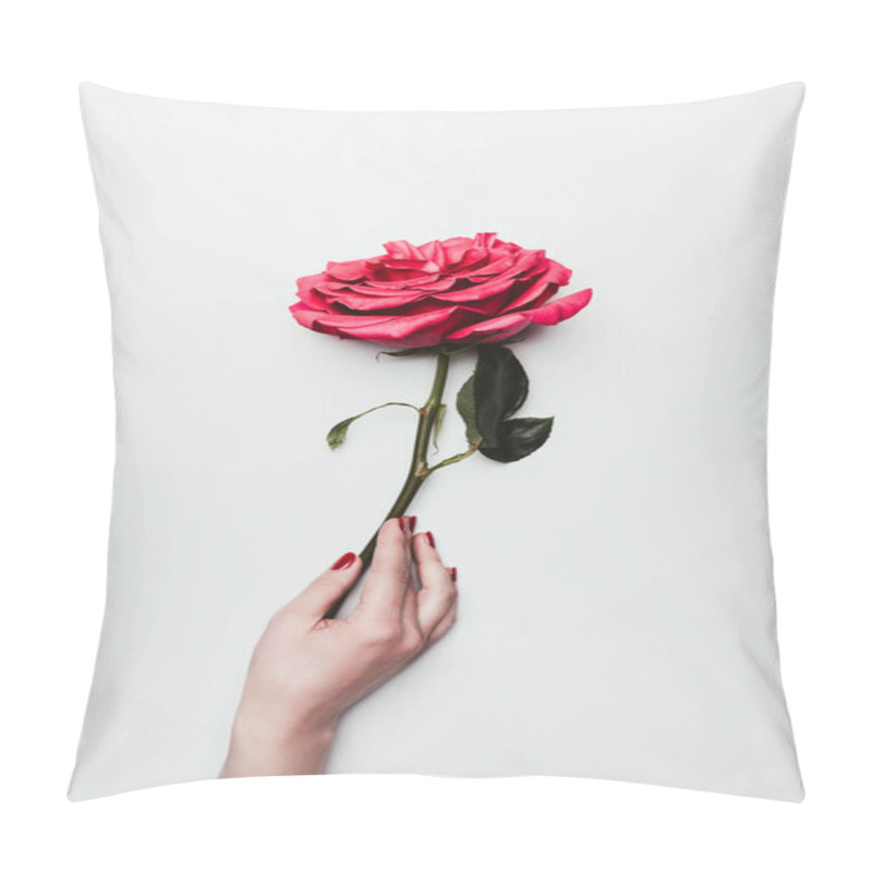 Personality  Female Hand Holding Rose Flower Isolated On White Pillow Covers