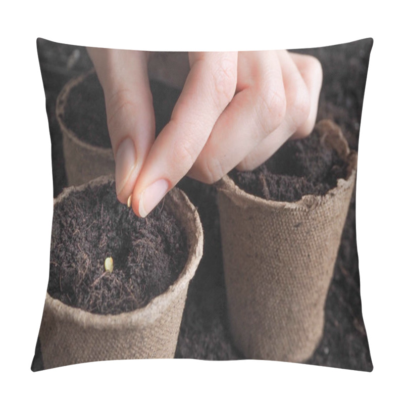 Personality  The Seeds In My Hand Against The Soil. Planting Seeds In The Spring Pillow Covers