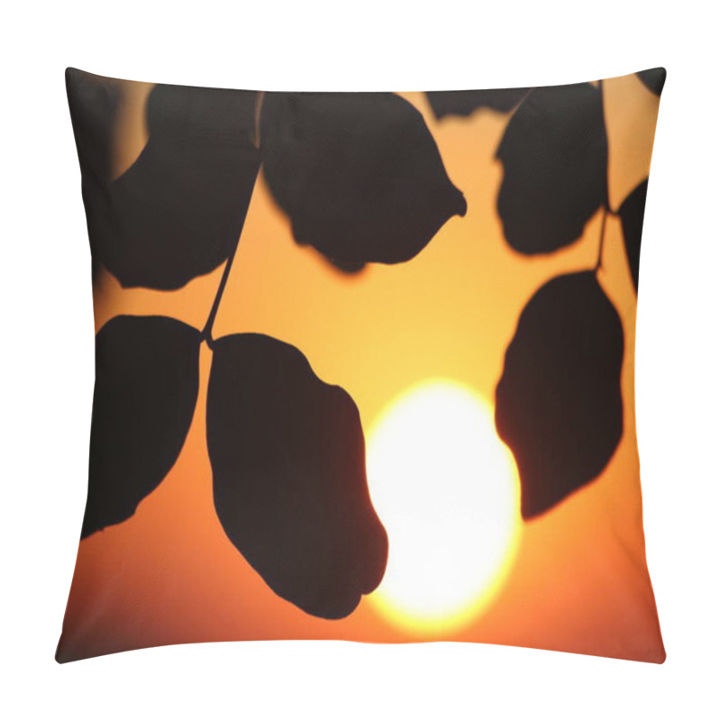 Personality  Silhouette Of Carob (Ceratonia Siliqua) Leaves At Sunset Pillow Covers