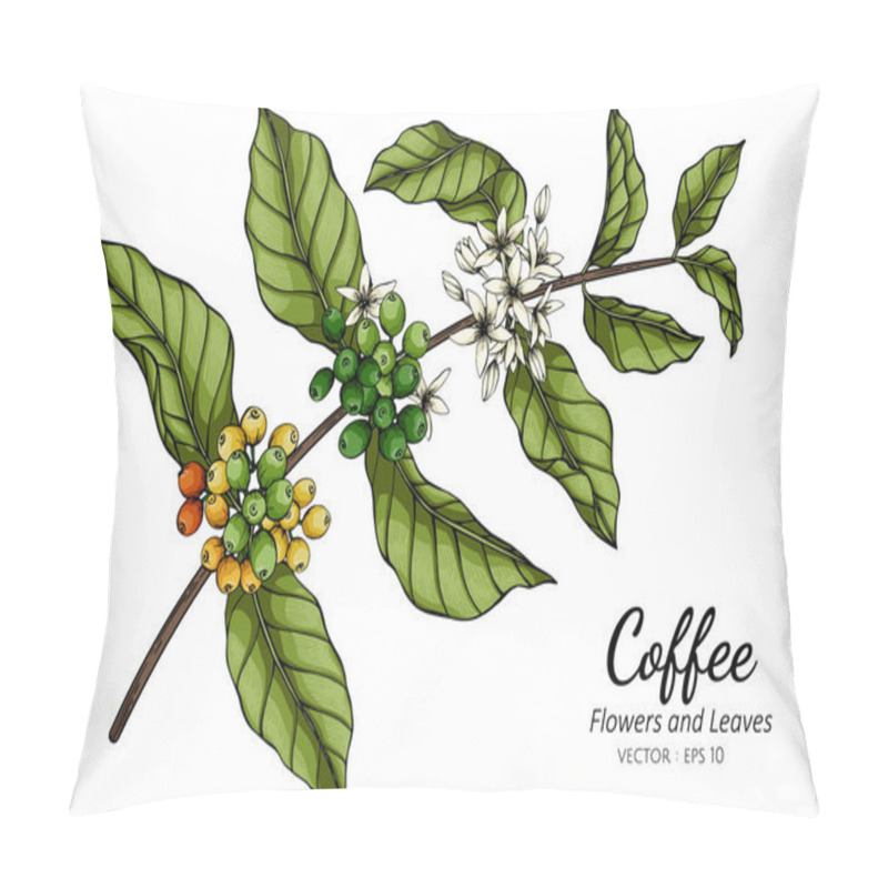 Personality  Coffee Flower And Leaf Drawing Illustration With Line Art On White Backgrounds. Pillow Covers