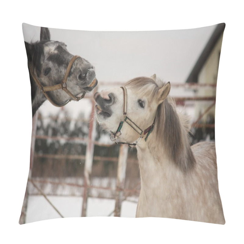 Personality  Two Gray Ponies Fighting Playfully Pillow Covers