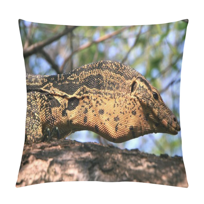 Personality  Komodo Dragon Lizard Reptile Pillow Covers