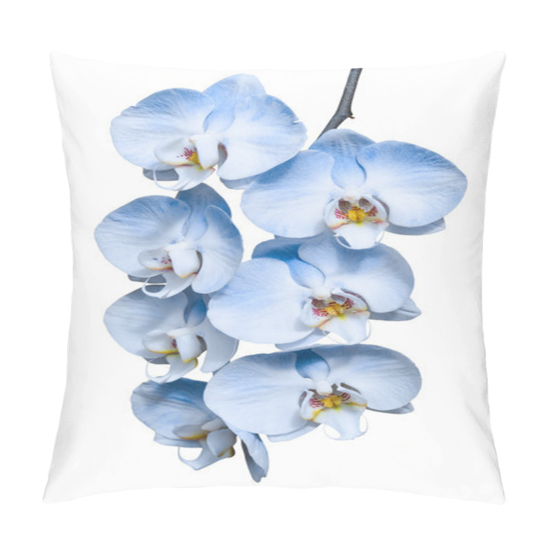 Personality  Exotic Tropical Branch Of Romantic Blue Orchids Flowers Pillow Covers