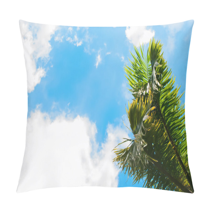 Personality  Leaves Of Palm Trees On Blue Sky. Natural Background Pillow Covers