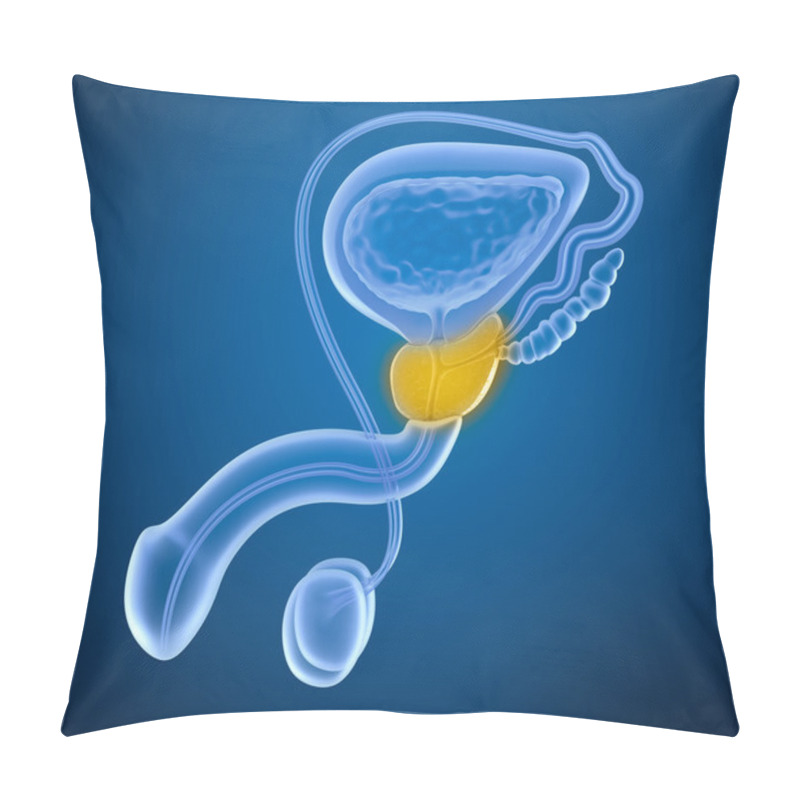 Personality  Prostate And Male Reproductive System , X-ray View Pillow Covers