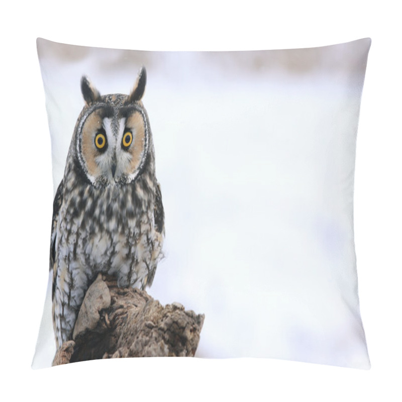 Personality  Long-eared Owl On A Perch Pillow Covers