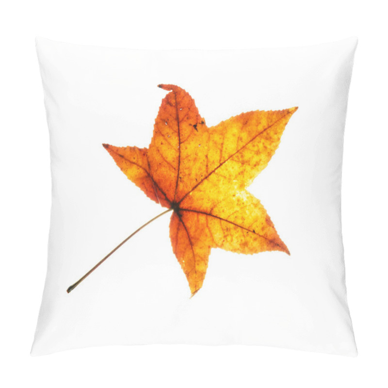 Personality  Beautiful Red Autumn Leaf On The White Background Pillow Covers