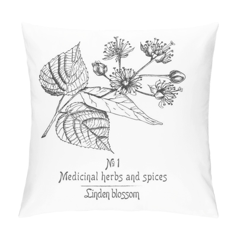 Personality  Set Of Linden Blossom Hand Drawn Patterns With Flowwer, Lives And Branch In Black Color On White Background. Retro Vintage Graphic Design Botanical Sketch Drawing Pillow Covers