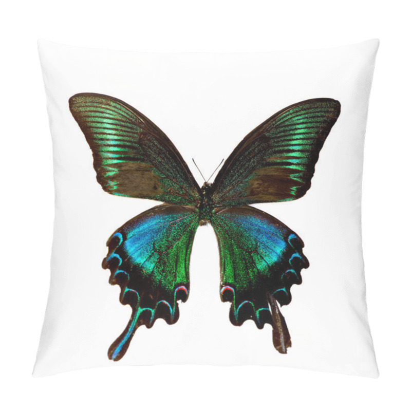 Personality  Butterfly Pillow Covers