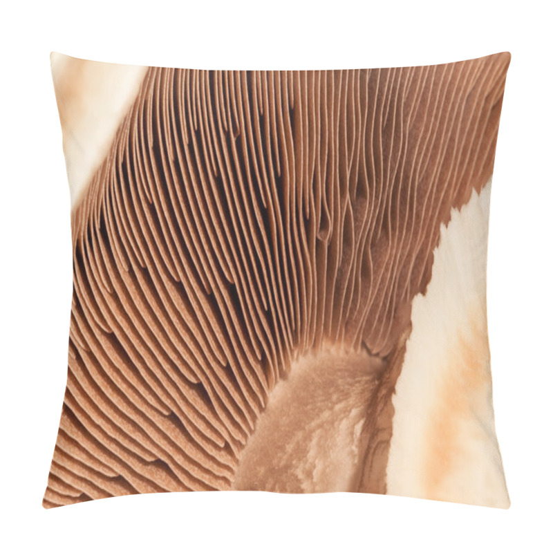 Personality  Mushroom Pillow Covers