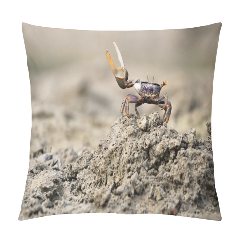 Personality  Uca Tangeri Crab Wildlife Concept Pillow Covers