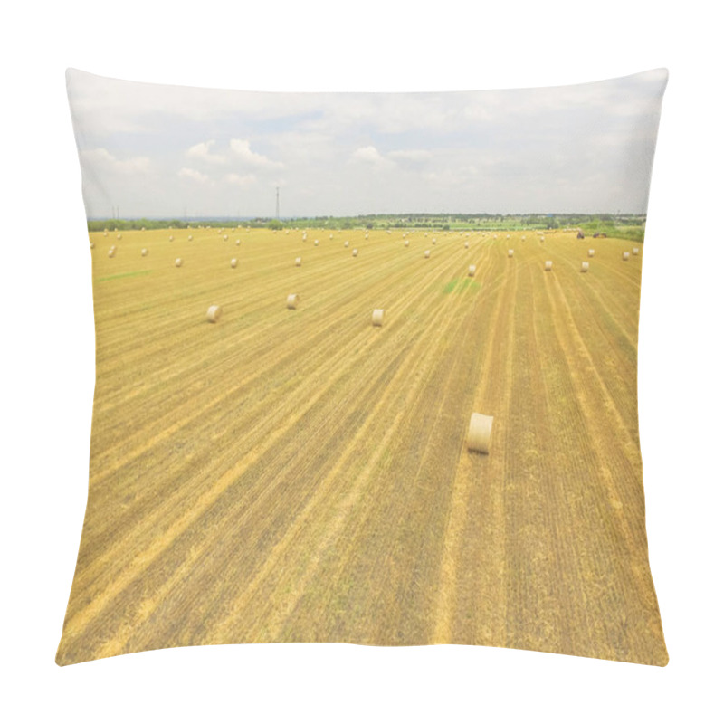 Personality  Horizontal Aerial View Bale Hay On A Corn Farm After Harvest In Austin, Texas, US. Golden Rural Landscape. Agriculture Background. Hay Used As Animal Fodder For Grazing Animals As Cattle, Horses Pillow Covers