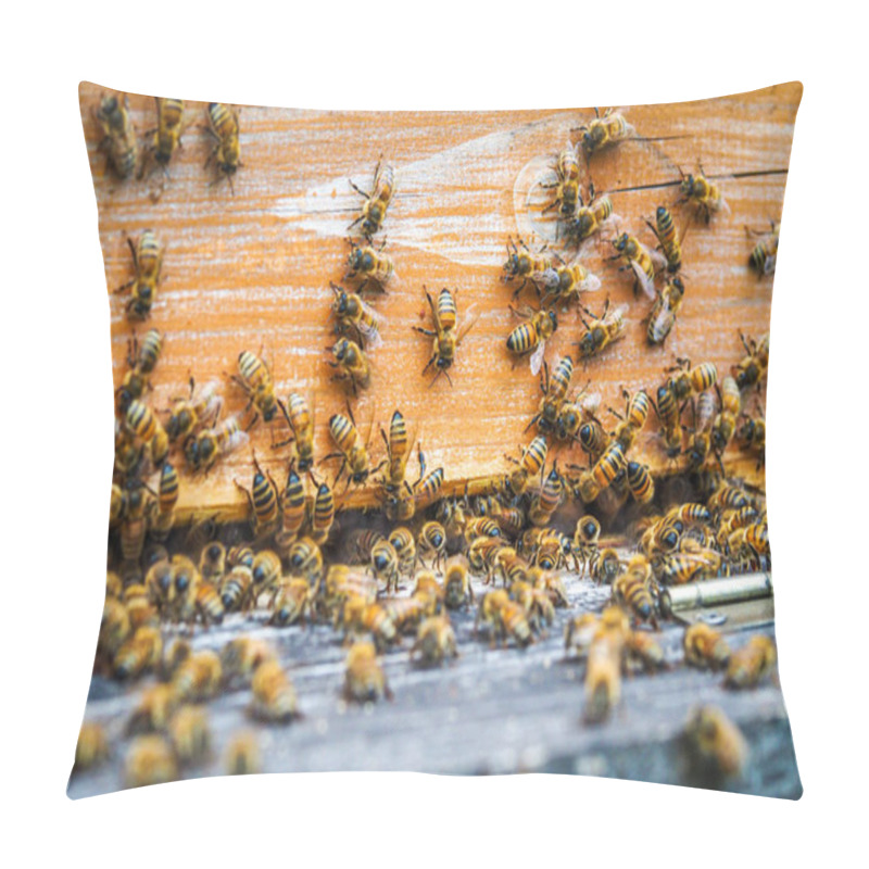 Personality  Lots Of Bees - Swarm Of Bees At Their Hive, Beekeeping. Selective Focus Pillow Covers