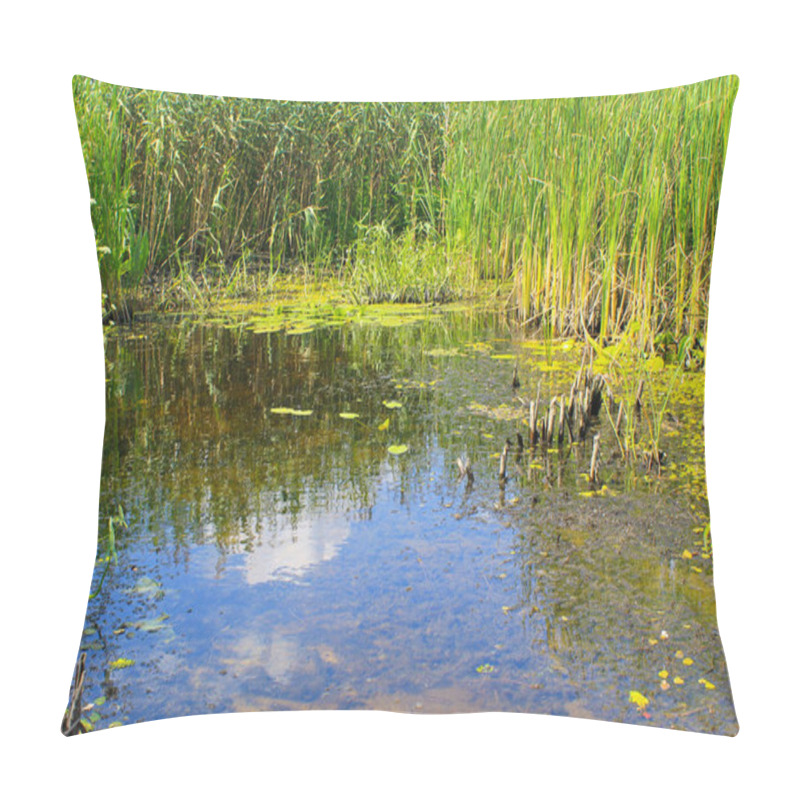 Personality  Aquatic Plants In A Swamp Pillow Covers