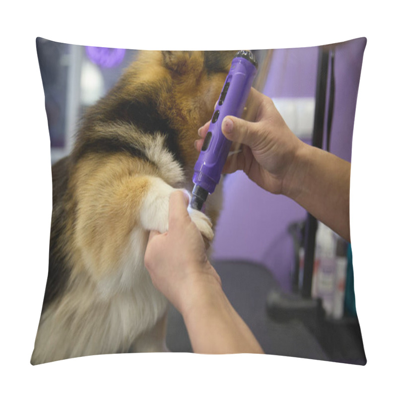 Personality  Pet Groomer Grinding Dog's Nails With A Rotary Grinder Tool In Close Up.  Pillow Covers