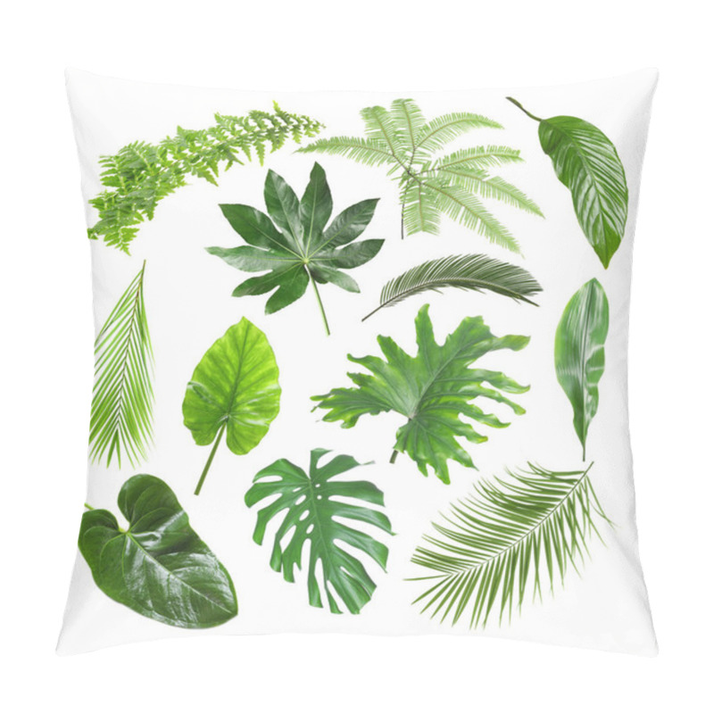 Personality  Set Of Different Tropical Leaves On White Background Pillow Covers